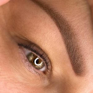 lash contour lash contour